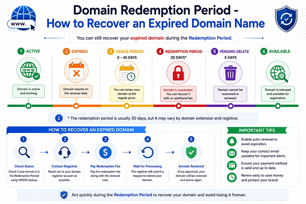 Domain Redemption Period - How to Recover an Expired Domain Name Webomatic